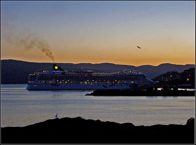 The Norwegian Dawn Docking At Dawn In Newfoundland
