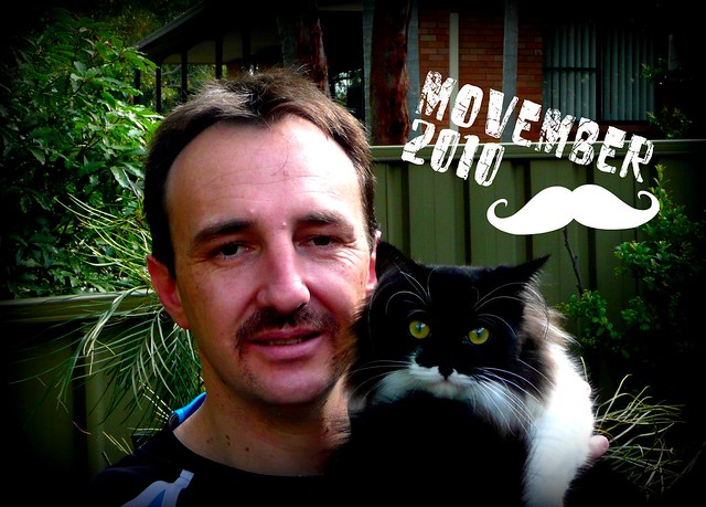 Meevember For Movember