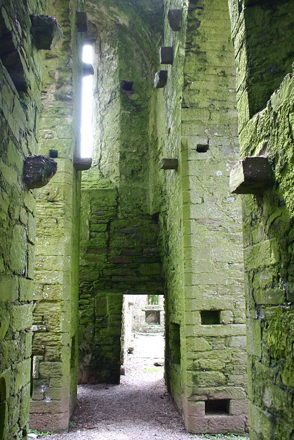 Inside Timoleague Abbey