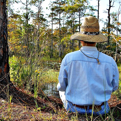 Jonathan Dickinson State Park - bob in swamp