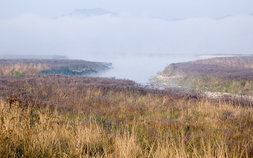 india fog landscape geotagged places safari uttaranchal grasslands corbett elephantsafari dhikala ramganga jimcorbettnationalpark