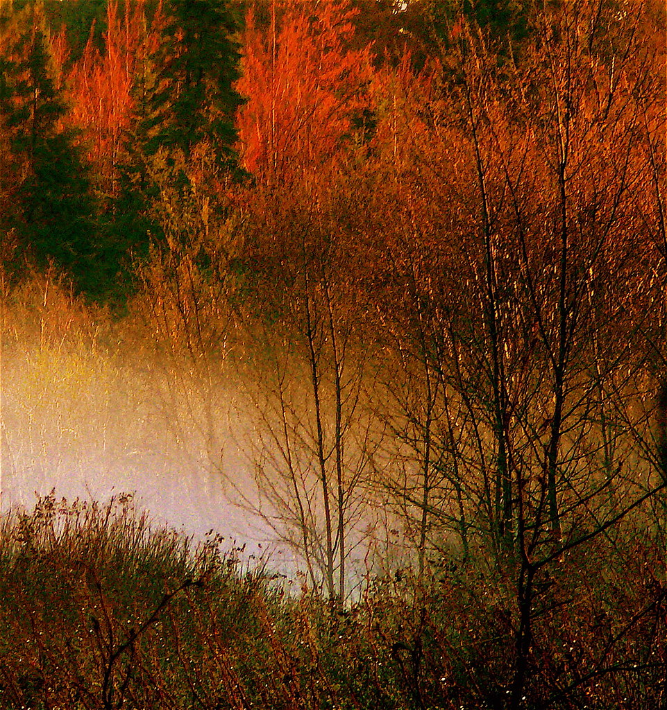 Landscapes 3 | Flickr