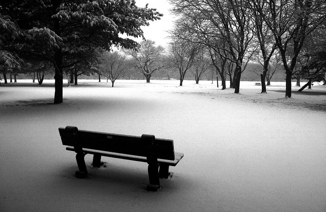 Winter's Silence... Listen - you can hear it....