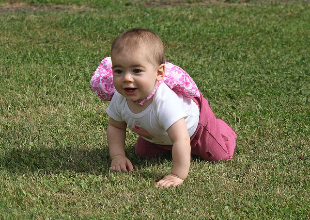 Abby in the Grass at Chisholm