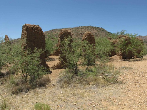 arizona plants usa mountains landscapes desert unitedstatesofamerica gps 2010 panoramio coronadonf