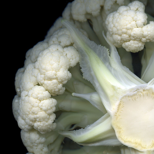THE SECRET WORLD OF THE CAULIFLOWER! STILL FOR OCTOBER, YET NOT PINK... by magda indigo