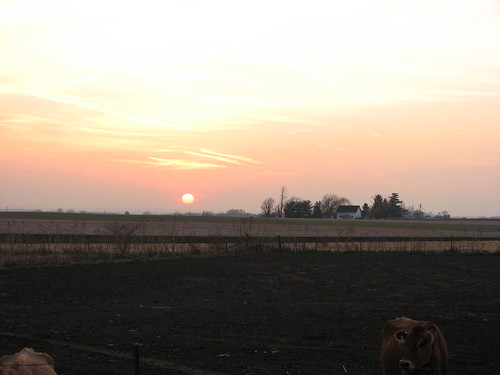 sunset wisconsin farm lancaster beetown
