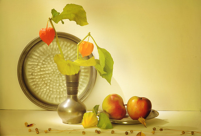 Still Life with Physalis & Apples