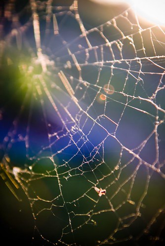 _DSC3257 by Garrett Elliott Photography, Testing one of my new lenses in my backyard.sunset web spiderweb