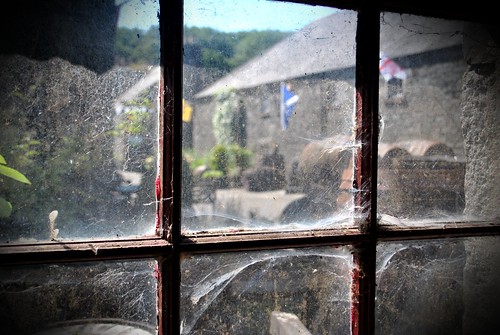 old building window scotland spider view web whiskey frame whisky scotch distillery cobwebs bladnoch