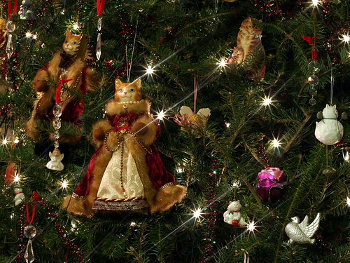 d-tail-du-sapin-de-no-l-de-la-blonde-girlfriend-s-christ-flickr
