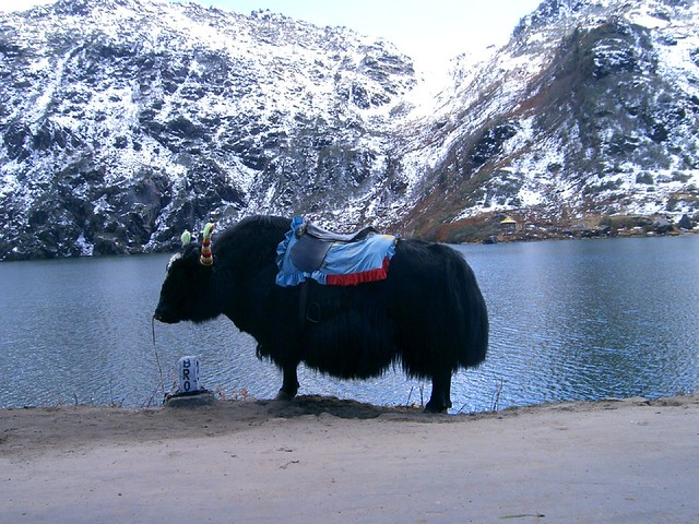 2006 India  Sikkim Tsomgo lake