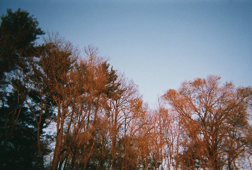 november autumn trees sunset fall film analog fuji disposablecamera 2010 uwstout menomoniewisconsin