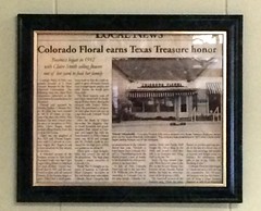 TX Colorado City Feb 2016  11783