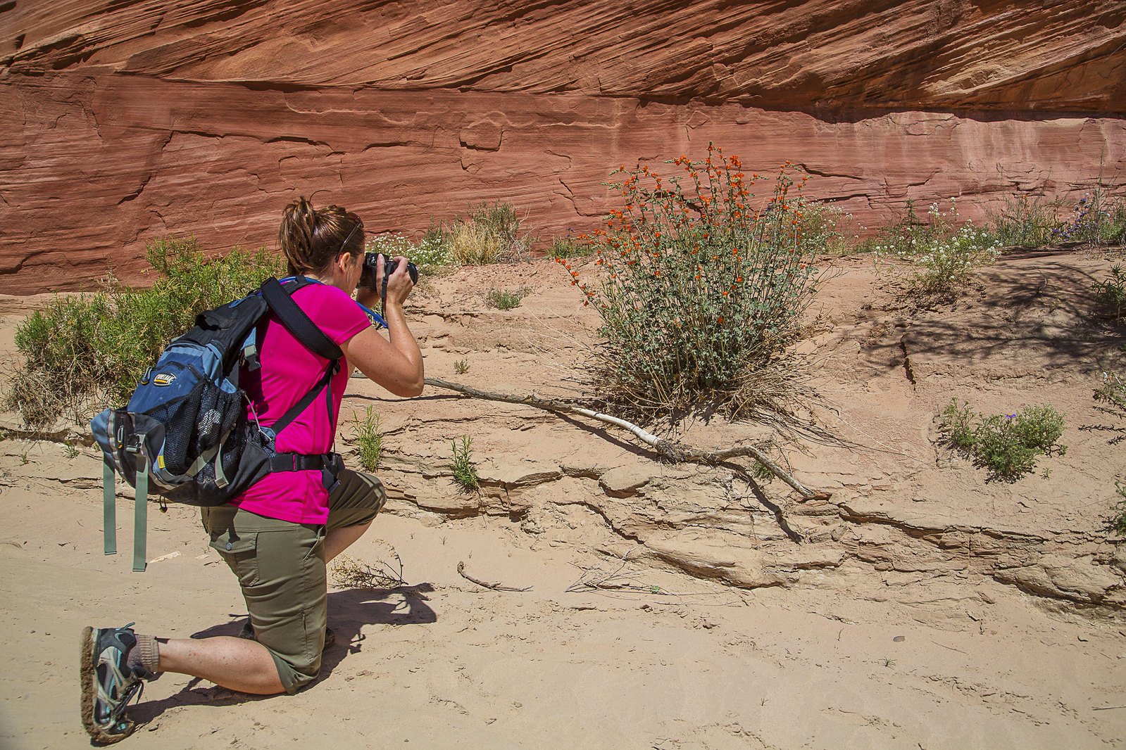A woman kneels to take a picture at Vermilion Cliffs National Monument