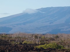 Volcanic landscape in the Galapagos Islands