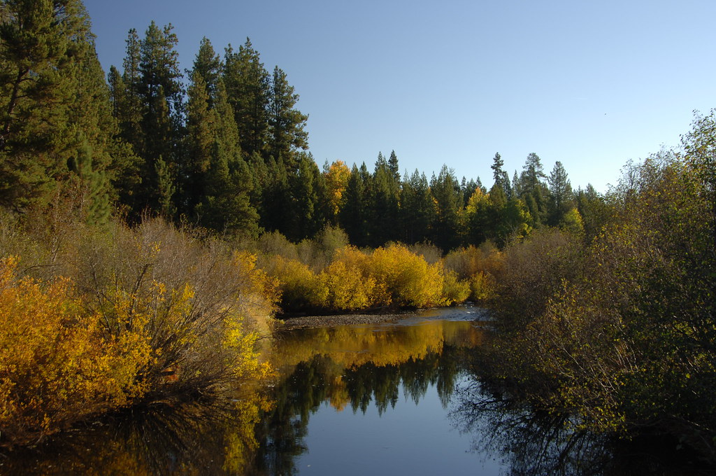 West Metolius River Trail