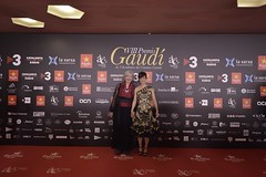 Catifa vermella dels VIII Premis Gaudí