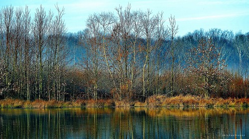 lake nature water landscape pond scenery view outdoor scene 300mm vista marsh waterscape hamon muscatatuck d3200 mnwr njikon