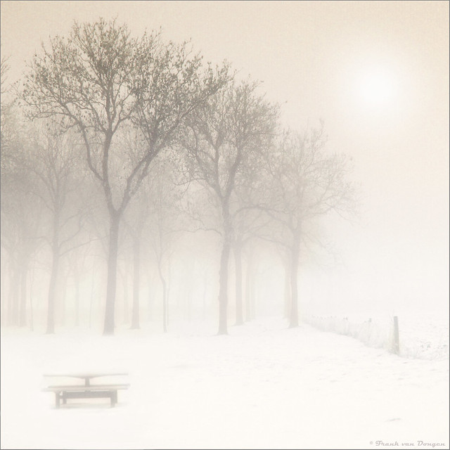 Ethereal synergy of fog and snow