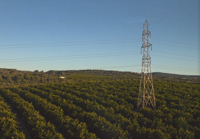 Powerlines among crops in a field somewhere between Madrid and Sevilla (2016)