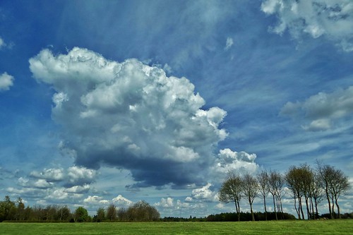 uk trees england weather skyline clouds spring fluffy cloudscape android hertfordshire aprilshowers samsungkzoom