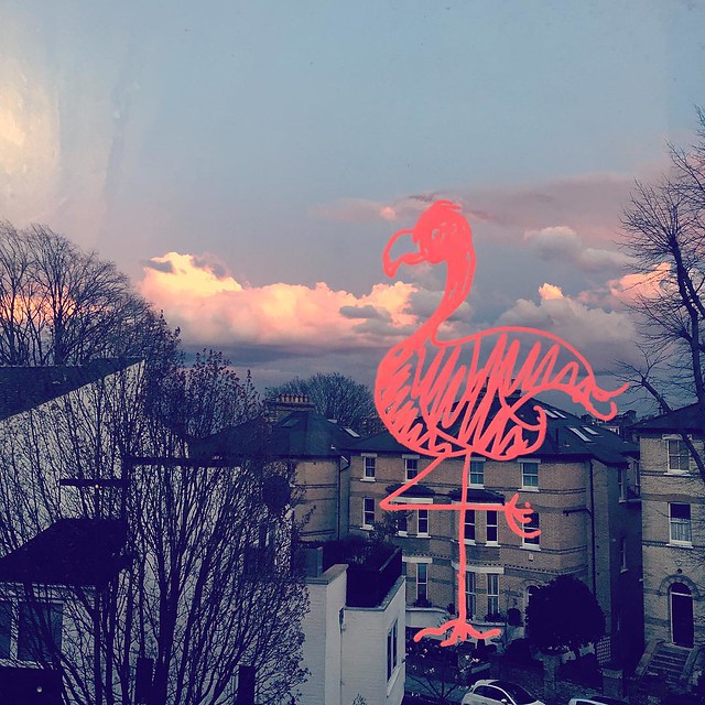 #pink #clouds #pink #flamingo from the kitchen #window in #Hampstead