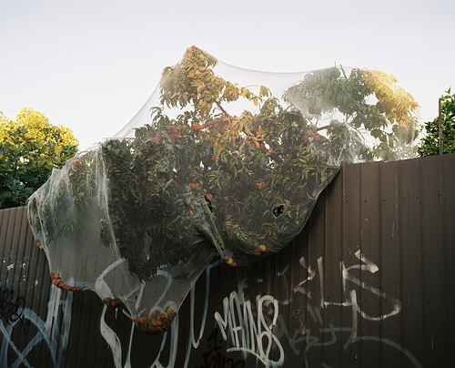 Untitled | by bou-vie