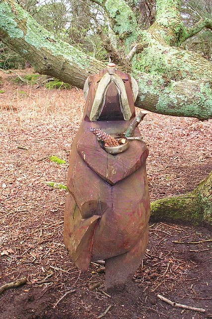 Book 3, Walk 39, Amberley to Pulborough Offerings to the dancing bear, Fittleworth Common, 25 Feb '07.