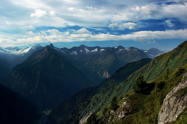 d0503025 | Am Berliner Höhenweg, kurz hinter der Gamshütte, Blick zum Zillertaler Hauptkamm. Links Großer Mörchner (3285 m) und Feldkopf (Zsigmondyspitze, 3089 m), rechts der Talkessel der Gunggl mit dem Ochsner (3107 m) dahinter. Zillertaler Alpen, 17.07.2005