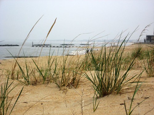 Oceanview Beach, Norfolk, March 07 | by lvnfreedom