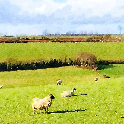 england sky green english grass clouds countryside sheep