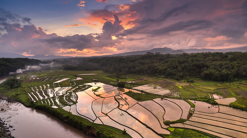 3 beauty indonesia landscape java rice aerial phantom drone dji