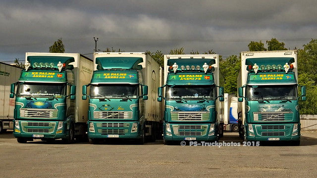 Fuhrparkteil 2015 - K.E.Palms - S - PS-Truckphotos (2)