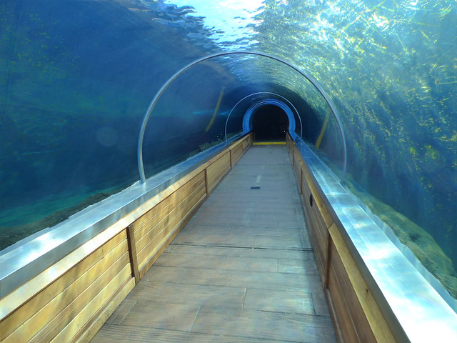 Underwater tunnel