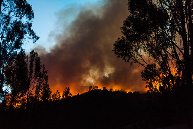 Entre lo bello y el Horror. Incendio Forestal en Cuitiva Boyacá