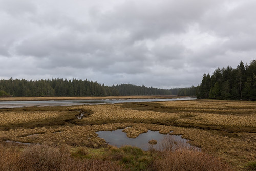 landscape nikon pacificnorthwest tamron pacificcounty d810 willipabay ryderphotographic tamronsp240700mmf28divcusd howardryder willipanationalwildliferefuge