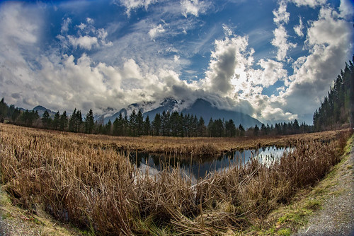blue sky panorama cloud fish canada mountains eye nature water clouds canon spring warm skies angle wide sunny columbia fisheye valley swamp wetlands british marsh fraser 8mm bog hdr bower 6d