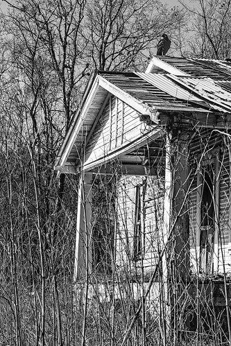 abandoned bw black blackwhite blackandwhite derelict house monochrome old vulture burton texas unitedstates us oncewashome