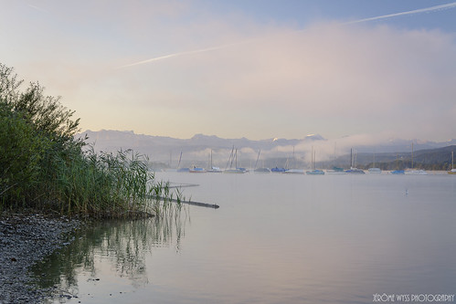 morning lake sunrise switzerland zurich peaceful griffin greifensee