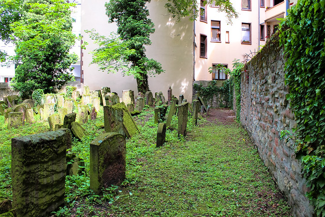 Leben und Tod nah beieinander - Gräberfeld im östlichen Teil des Friedhofs