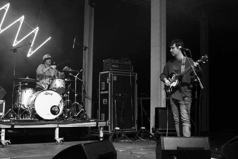 THE PARROTS