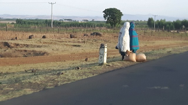 Roadside scene, Ethiopia