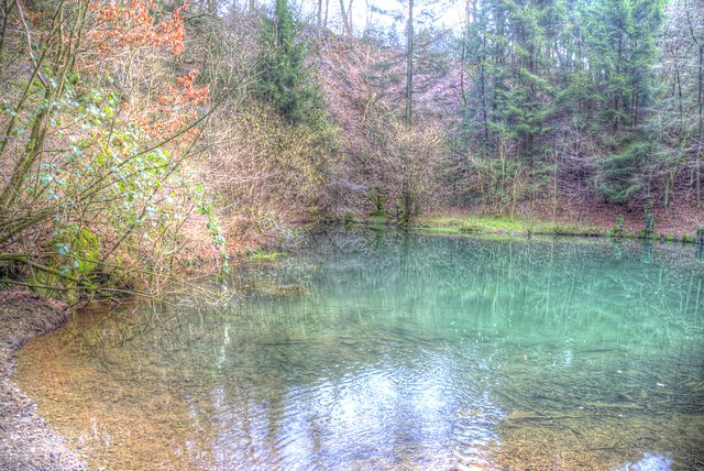 The Green Pond