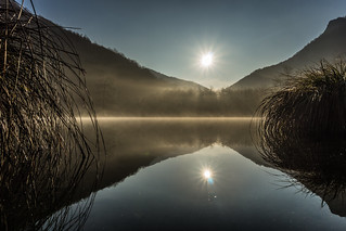 Morning mist at the lake