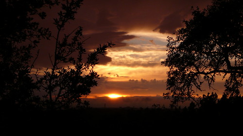 sunset sky sun color tree clouds landscape evening colorful branch texas