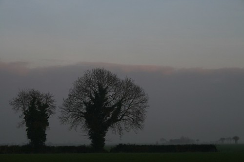 sunset england sky cloud tree field lincolnshire fen billingborough