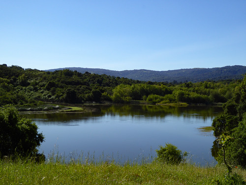 californianaturalist jasperridgebiologicalpreserve lake