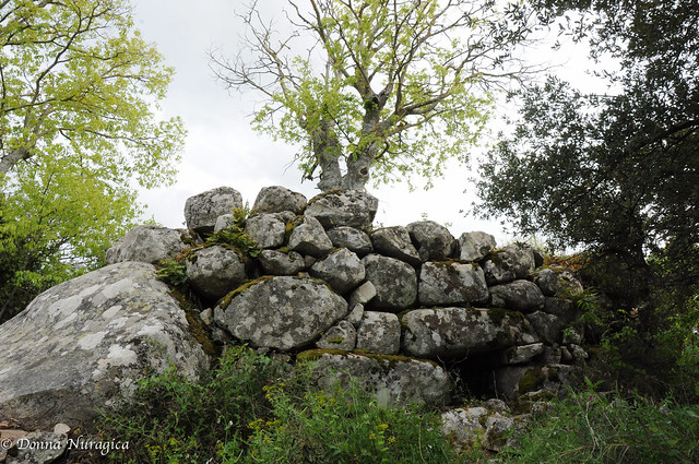 parco archeologico Biru 'e Concas, Sorgono
