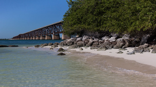 ocean bridge usa beach nature landscape sand florida atlantic tropical